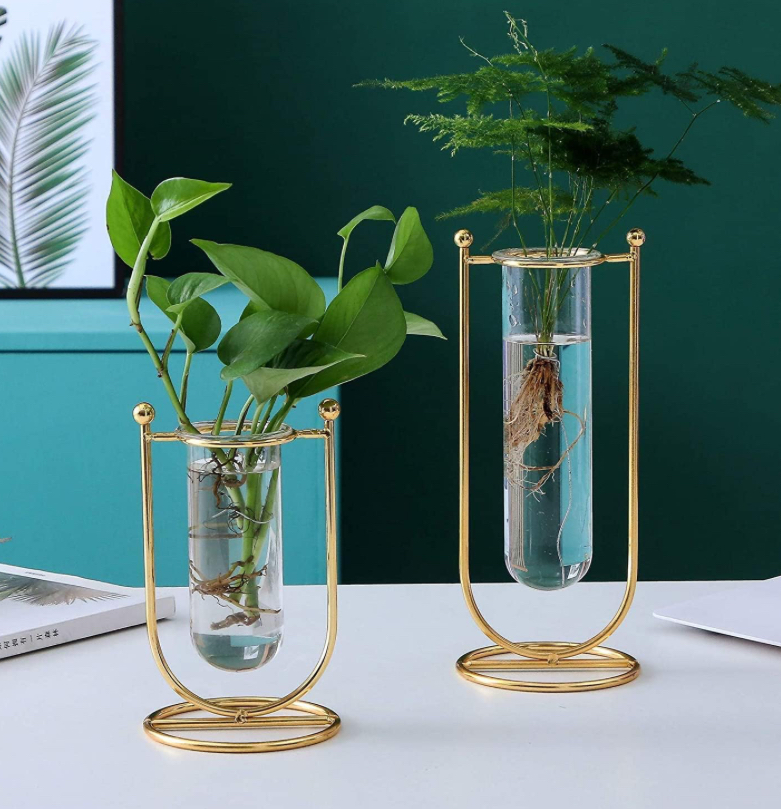 Glasses Planter